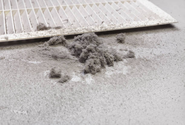 Best Residential Air Duct Cleaning  in North Springfield, VA